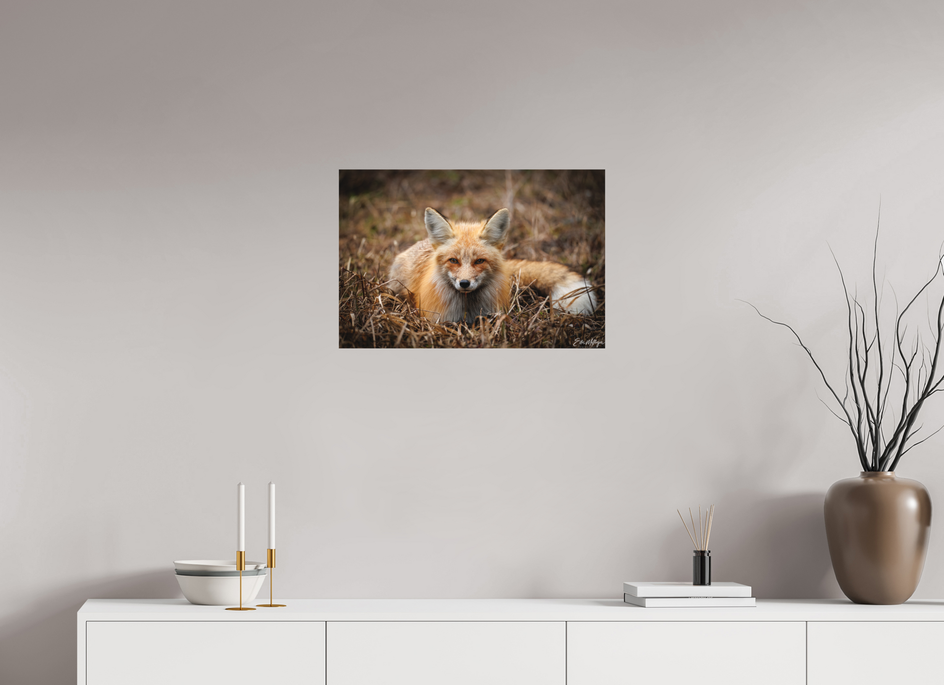 24 x 16″, Canvas "Resting Ember" - Red Fox