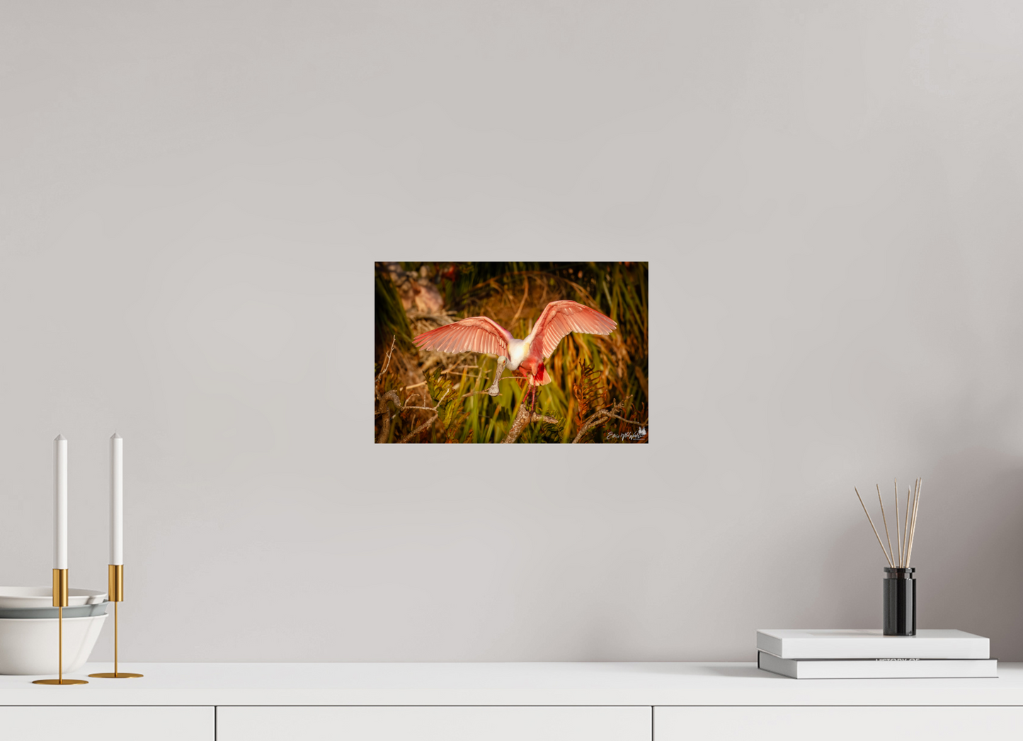 Sunset spoonbill