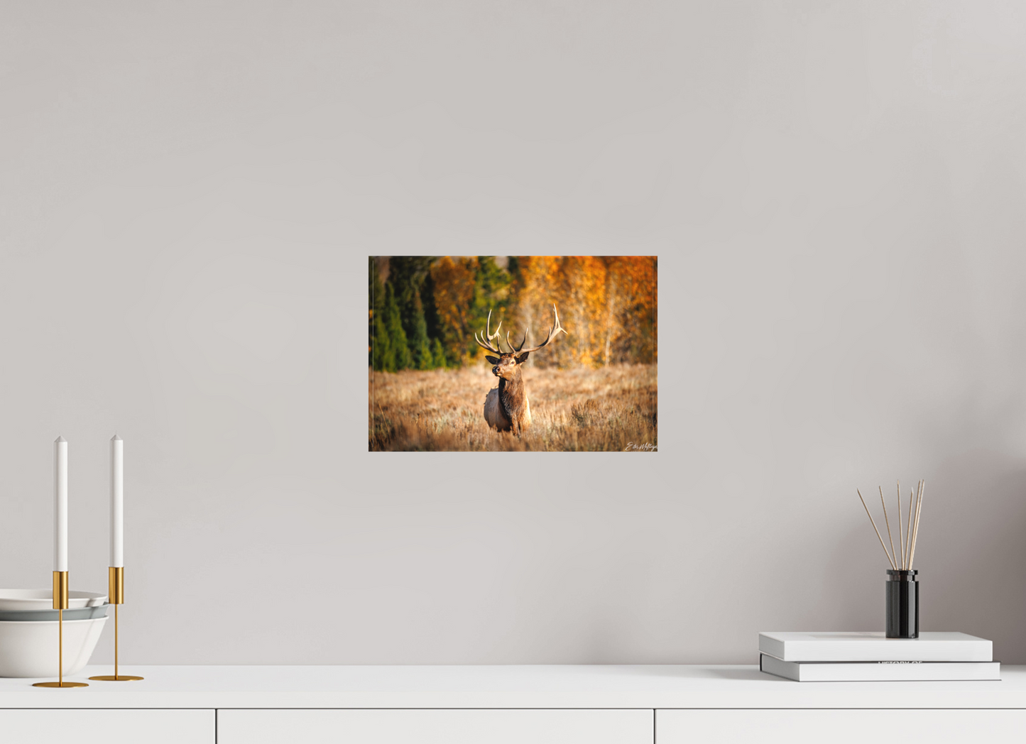 12 x 8″, Canvas "Autumn Sentinel" - Bull Elk