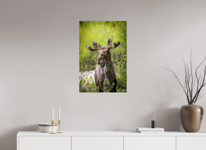 20 x 30″, Metal "Willow Smile" - Moose