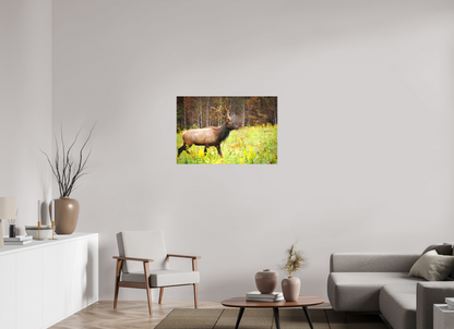 36 x 24″, Canvas "Call of the Wild" - Elk