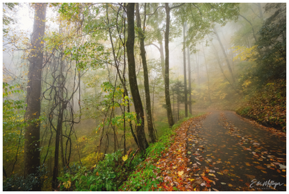 Main image "When the Fog Lingers"