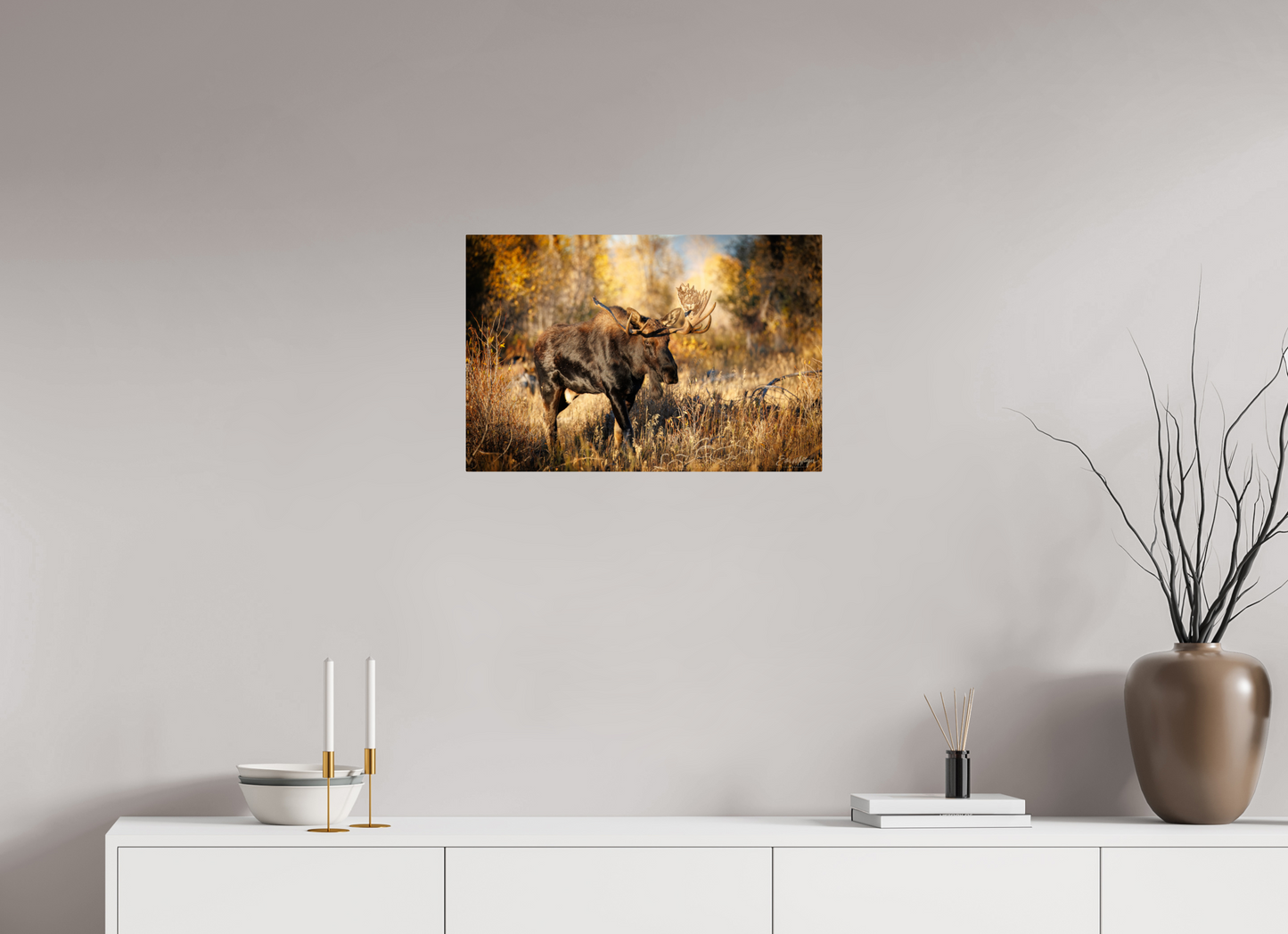 24 x 16″, Metal "Monarch of Gros Ventre" - Bull Moose