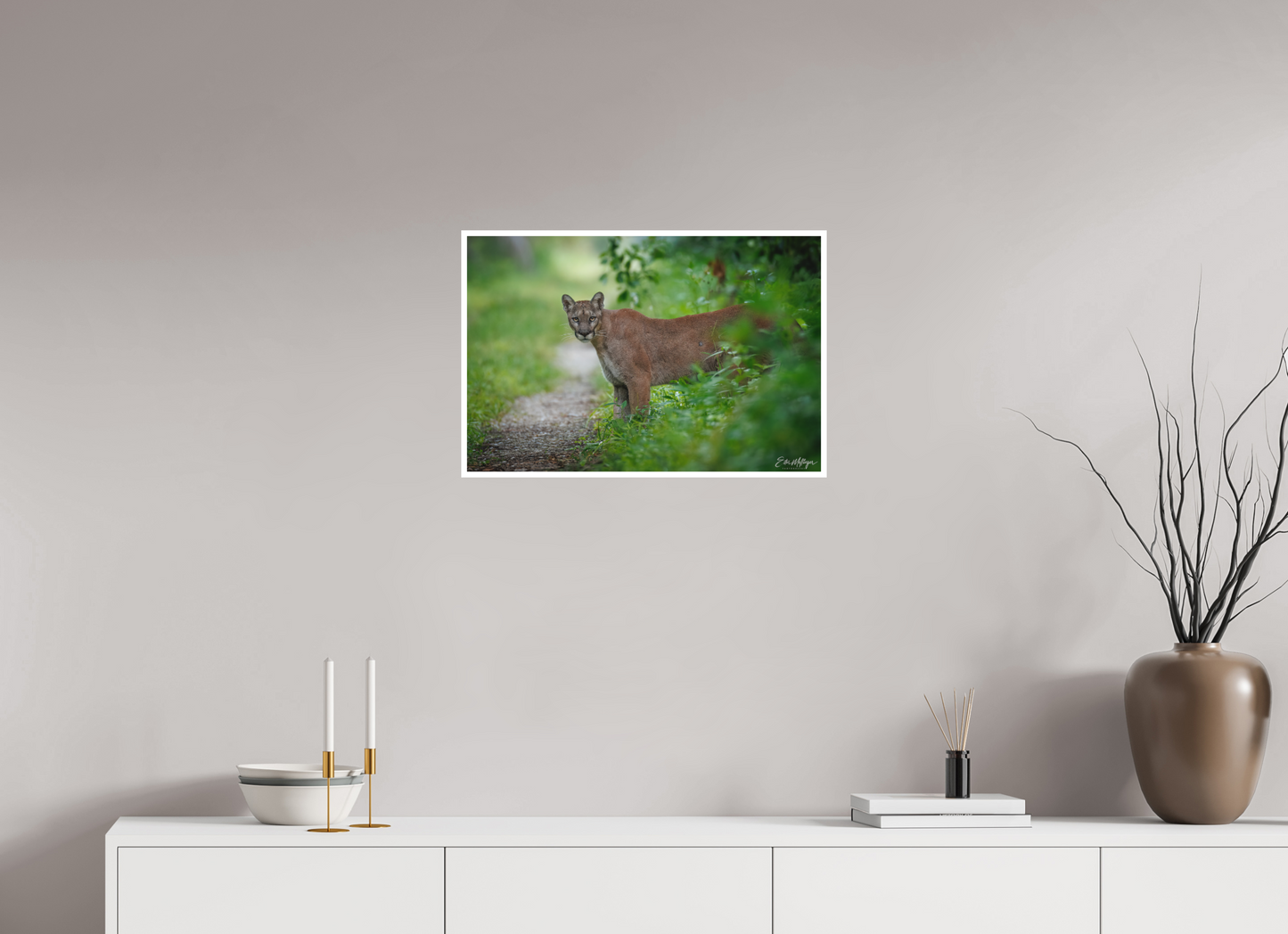 24 x 16″, Fine art print Ghost of the Green Forest - Florida Panther