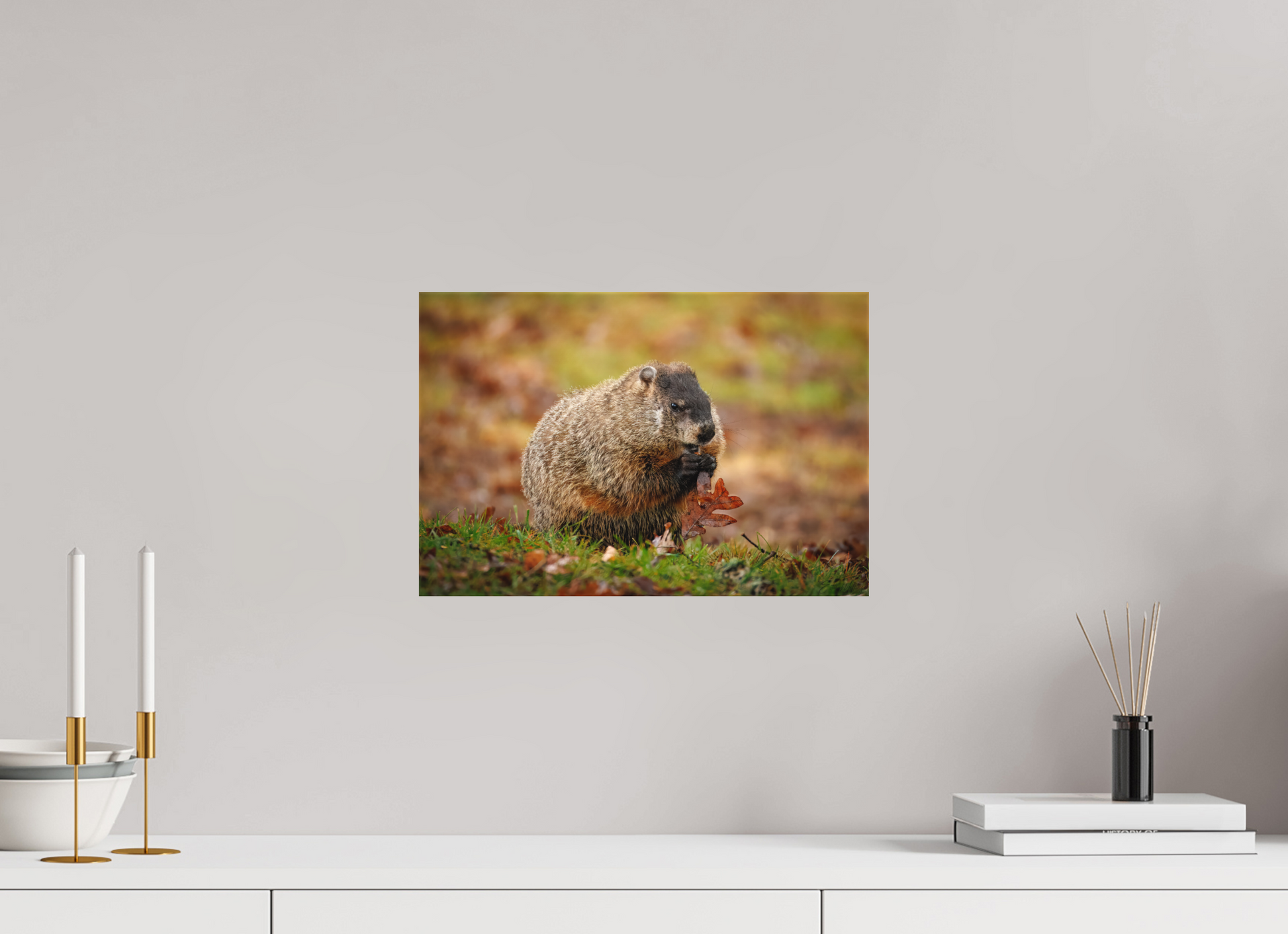 15 x 10″, Canvas "The Little Forager"