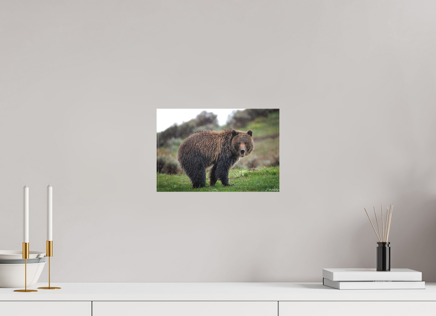 12 x 8″, Canvas "Stormy Charm" - Grizzly Bear
