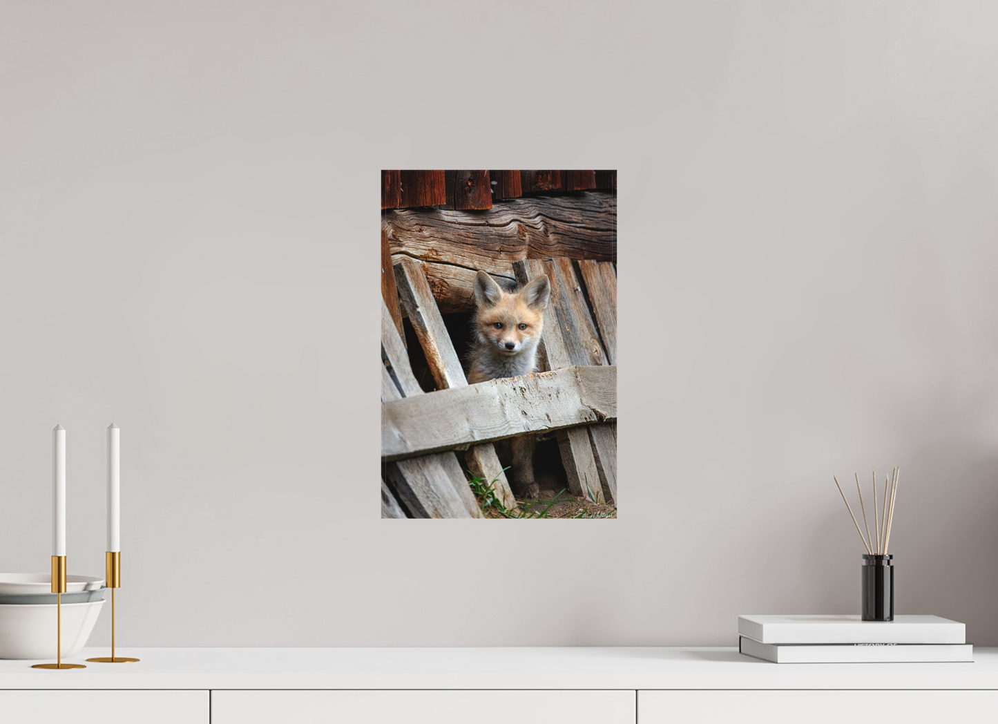 10 x 15″, Canvas "Barnyard Lookout" - Red Fox kit