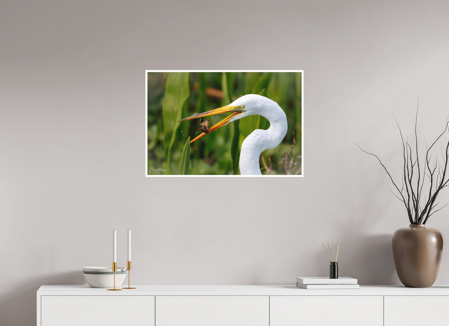30 x 20″, Fine art print "Marsh Hunter" - Great Egret
