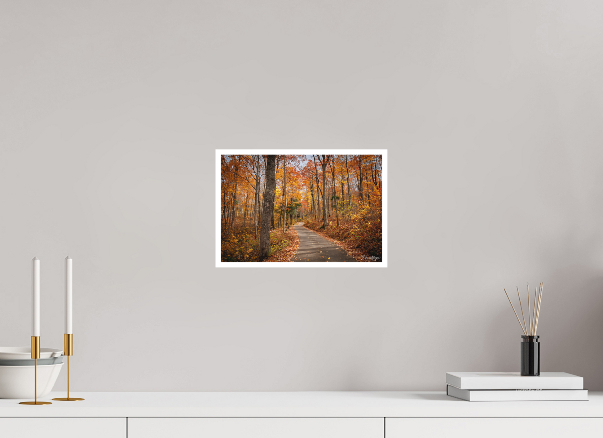 12 x 8″, Fine art print "Golden Path" - Roaring Fork Road