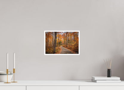 12 x 8″, Fine art print "Golden Path" - Roaring Fork Road