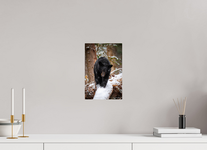 8 x 12″, Metal "Little Snow Walker" - Black Bear