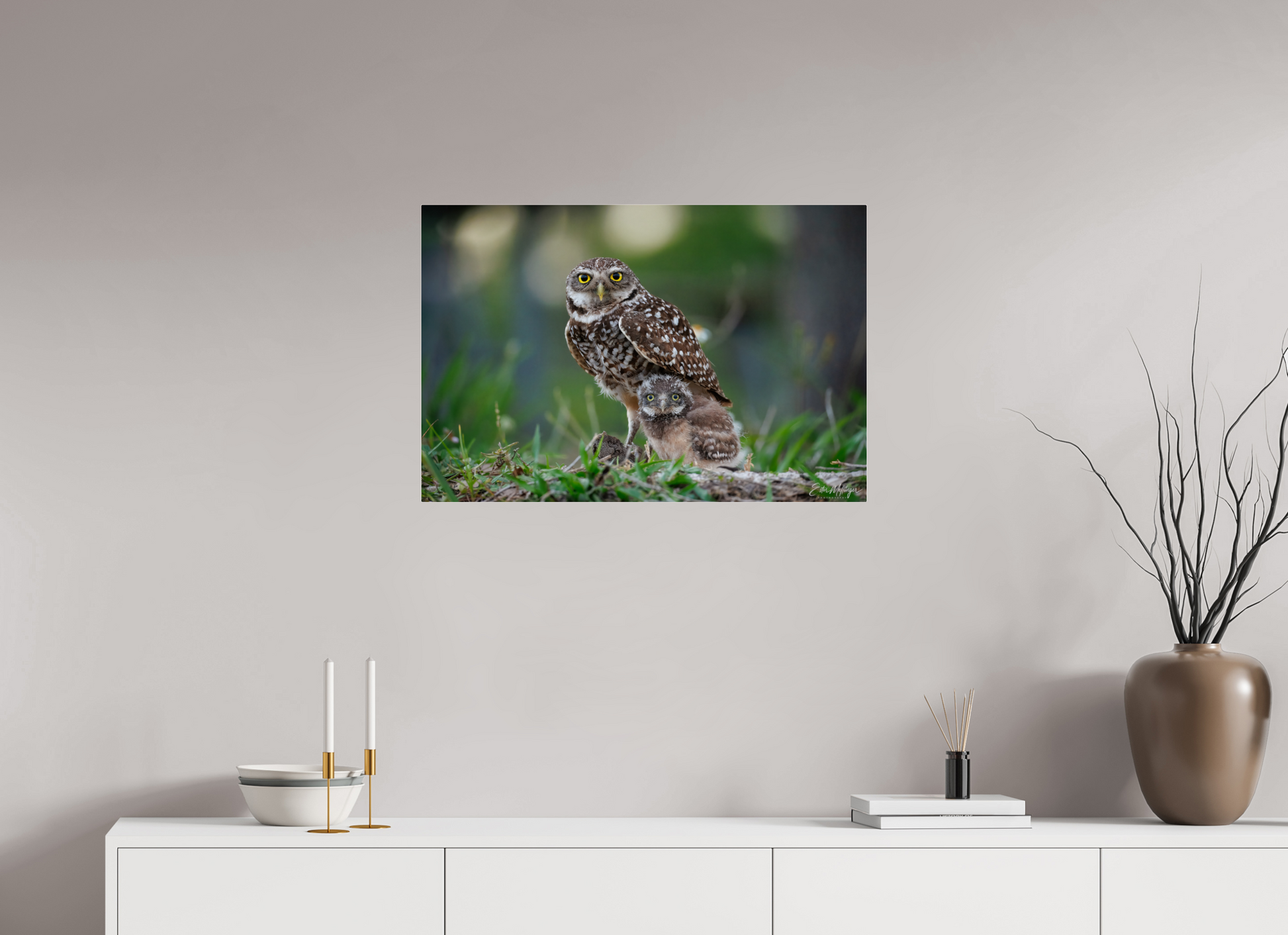 30 x 20″, Acrylic "Burrowlight" - Burrowing Owls
