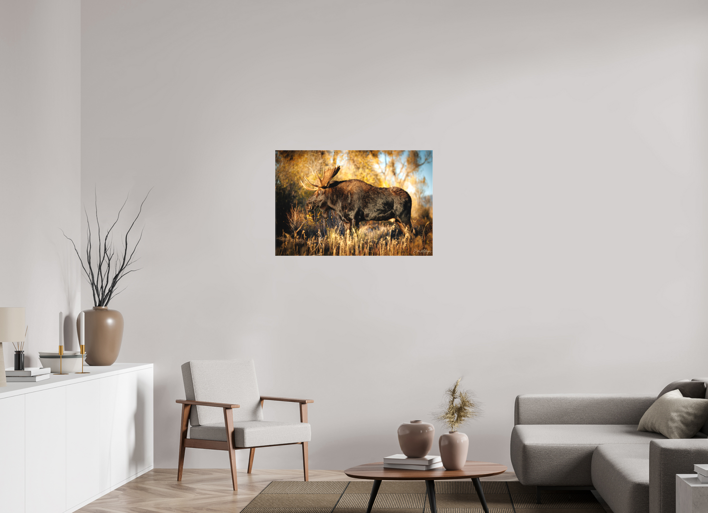 36 x 24″, Canvas "Monarch of Gros Ventre - Presence" - Bull Moose