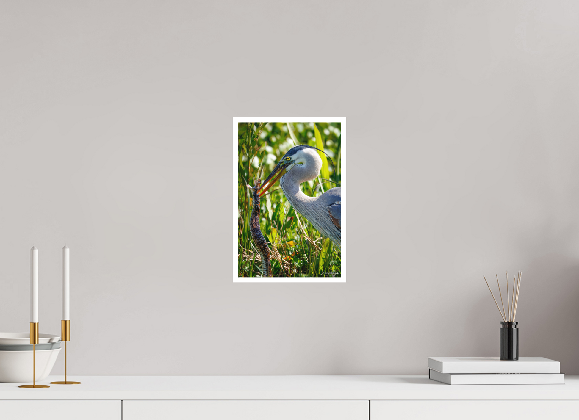 8 x 12″, Fine art print "The Hunt in the Marsh" - Great Blue Heron