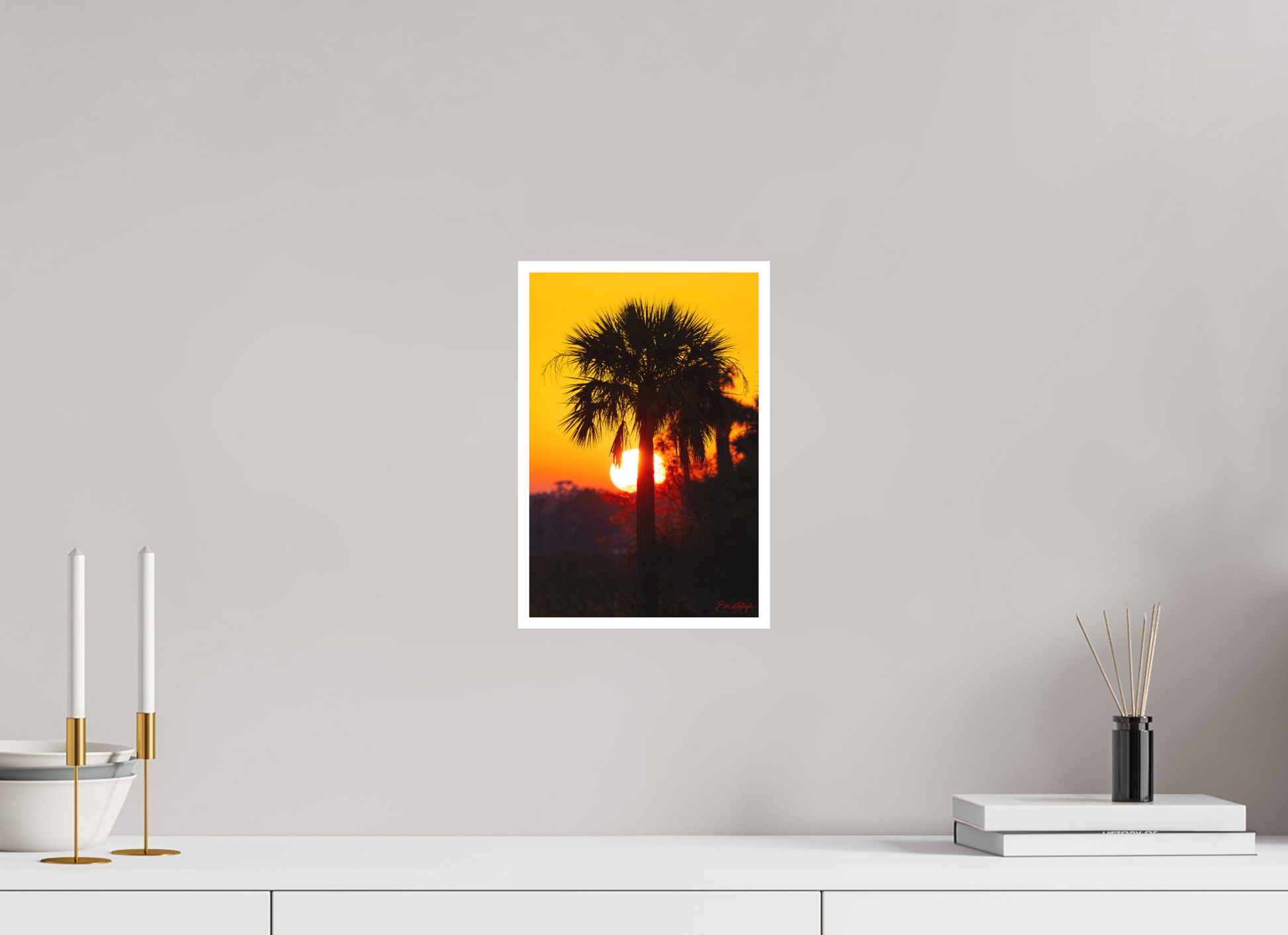 8 x 12″, Fine art print "Florida Awakens"