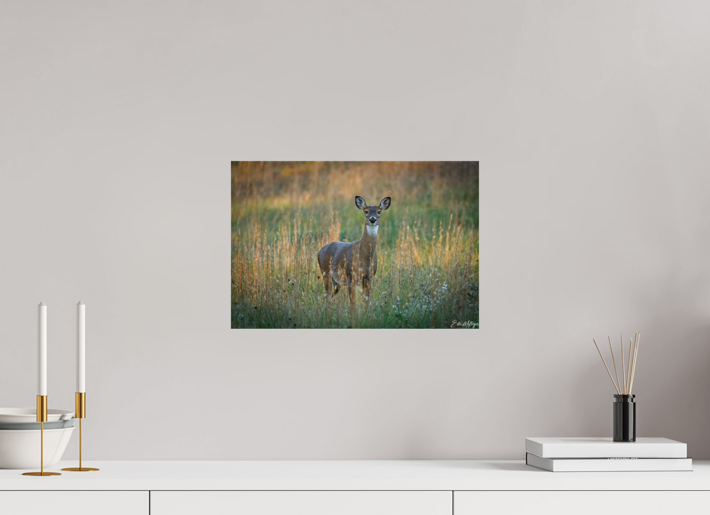 15 x 10″, Canvas "Grace in the Meadow" - White-tailed Doe