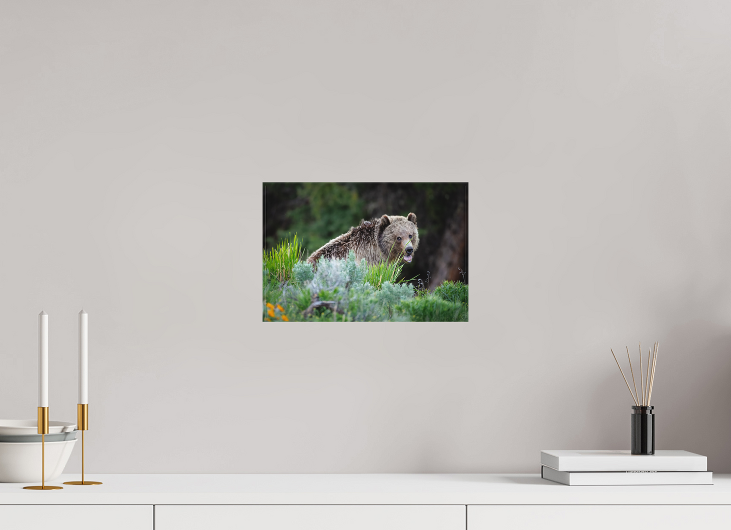 12 x 8″, Canvas "Gentle Yawn" - Grizzly Bear