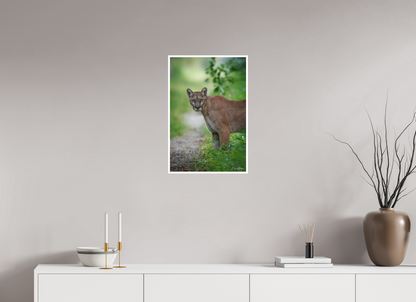 16 x 24″, Fine art print "Ghost of the Green Forest" - Florida Panther, vertical