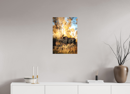 16 x 24″, Canvas "Monarch of Gros Ventre - Stillness" - Bull Moose