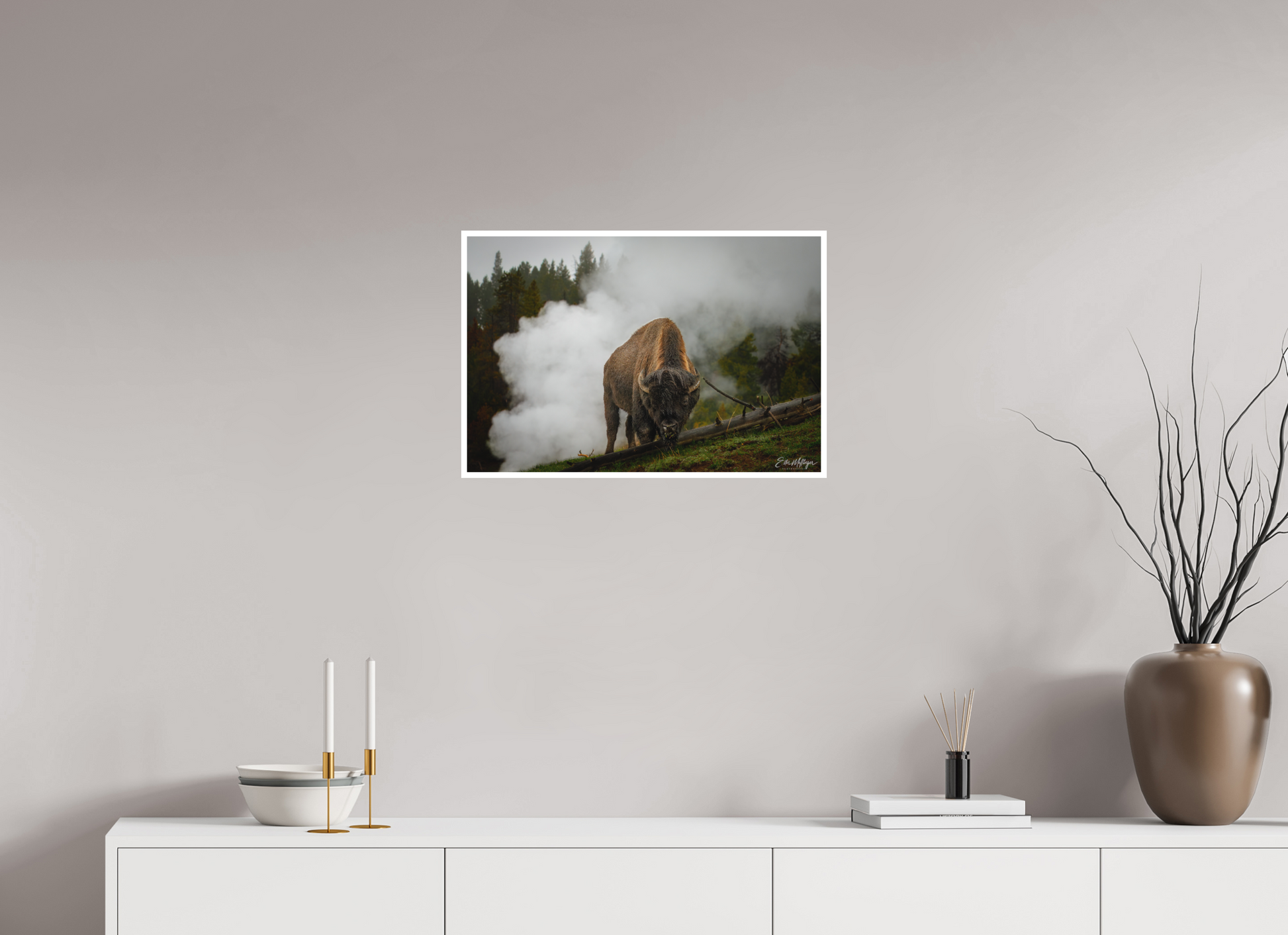24 x 16″, Fine art print "Misty Majesty" - Bison