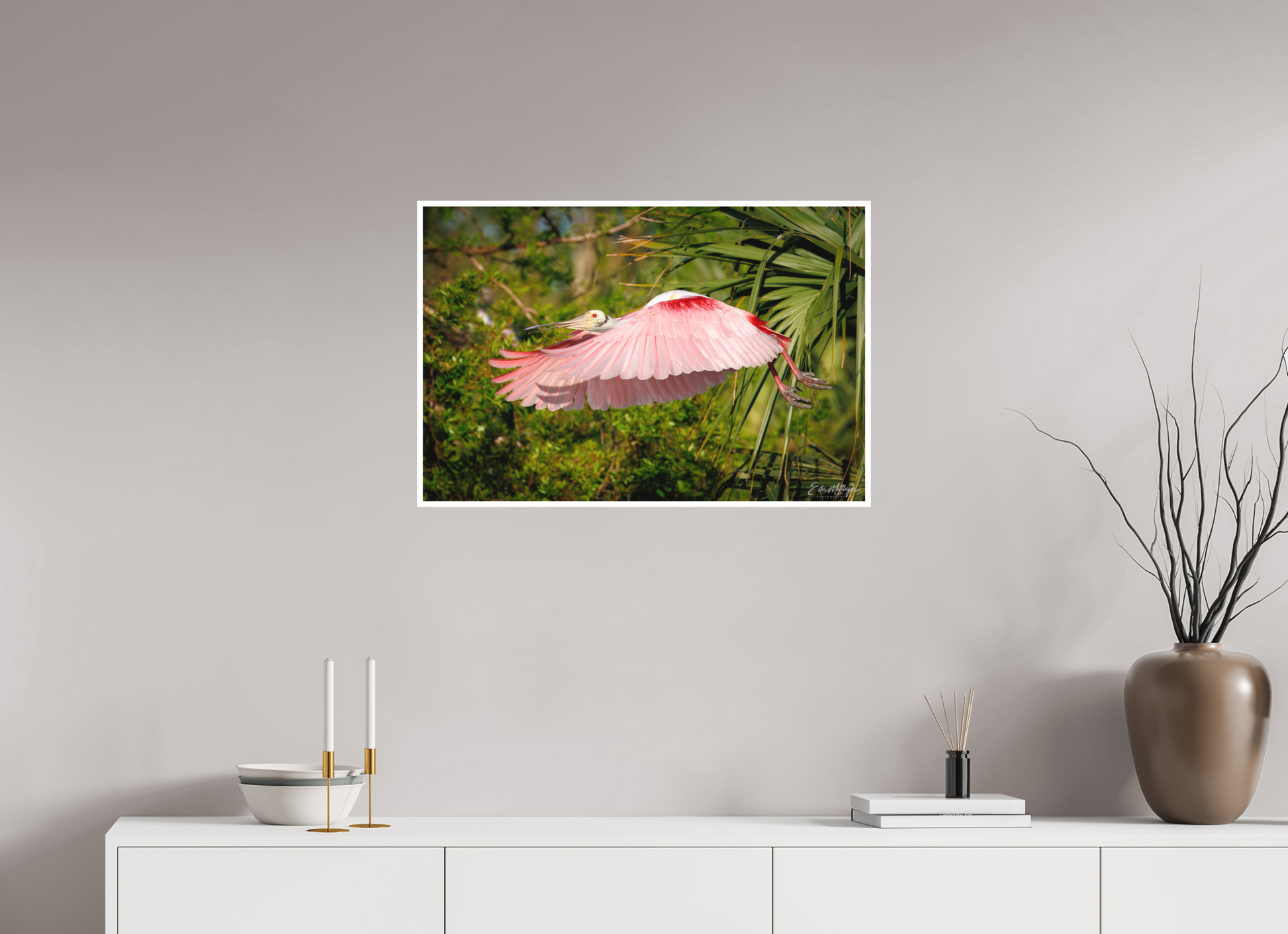 30 x 20″, Fine art print "Pink Passage" - Roseate Spoonbill