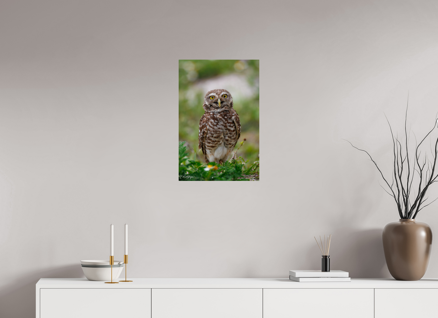 16 x 24″, Metal "Wide-Eyed Wonder" - Burrowing Owl