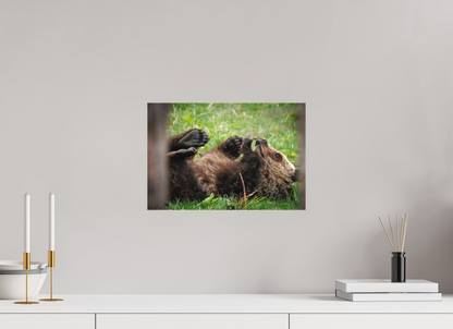 Bear smelling flower