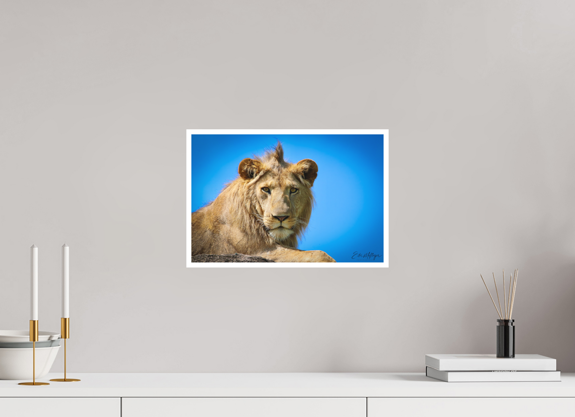 15 x 10″, Fine art print "The Monarch" - Lion of the Blue Sky