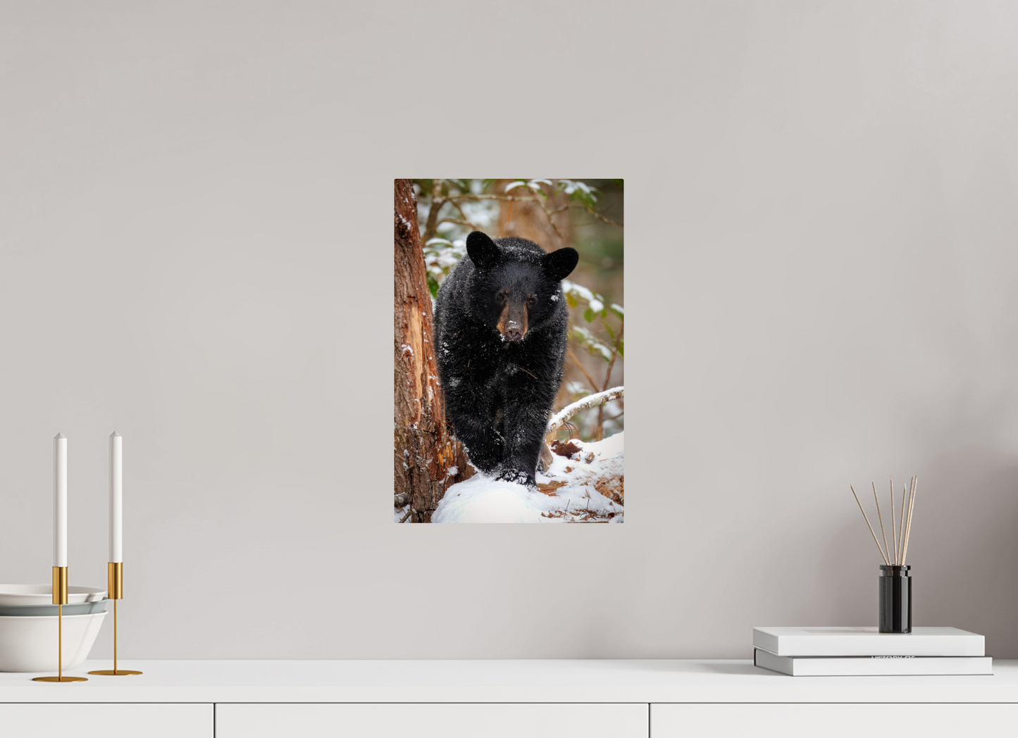 10 x 15″, Metal "Steps Through Snow" - Black Bear