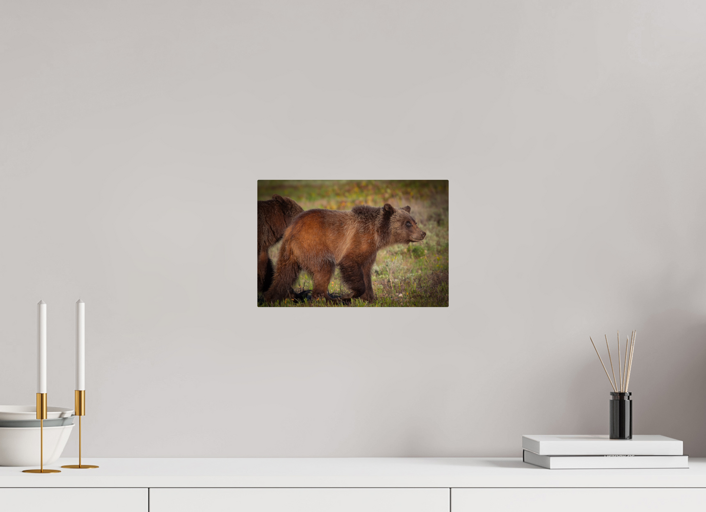 12 x 8″, Metal "Sage Wander" - Grizzly bear