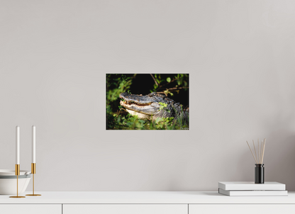12 x 8″, Canvas "At the Water's Edge" - American Alligator