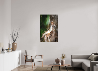 30 x 45″, Canvas "Silver Song" - Rhesus Macaque