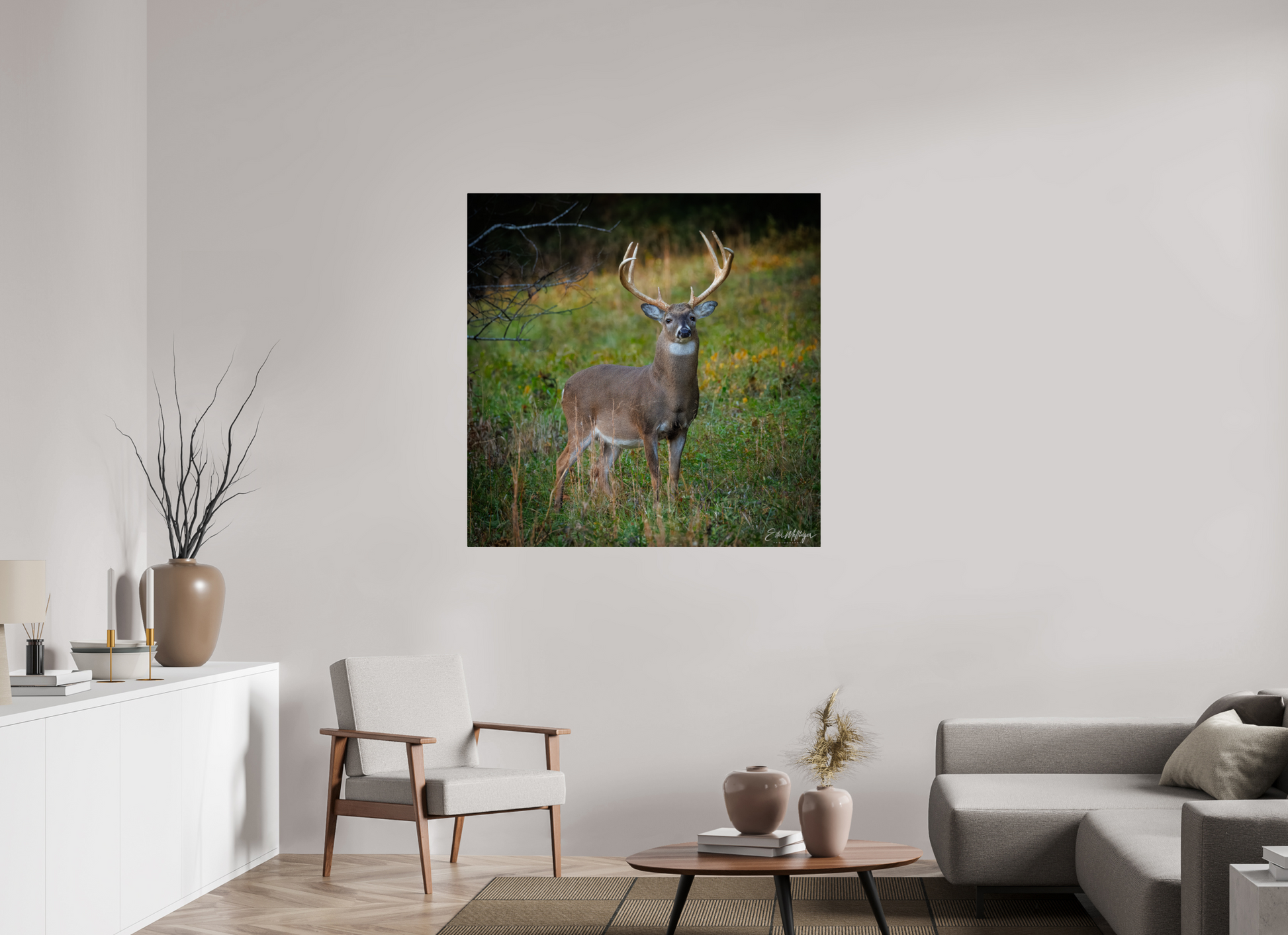 45 x 45″, Metal "Majesty of the cove" - White-tailed Buck