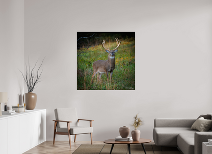 45 x 45″, Metal "Majesty of the cove" - White-tailed Buck