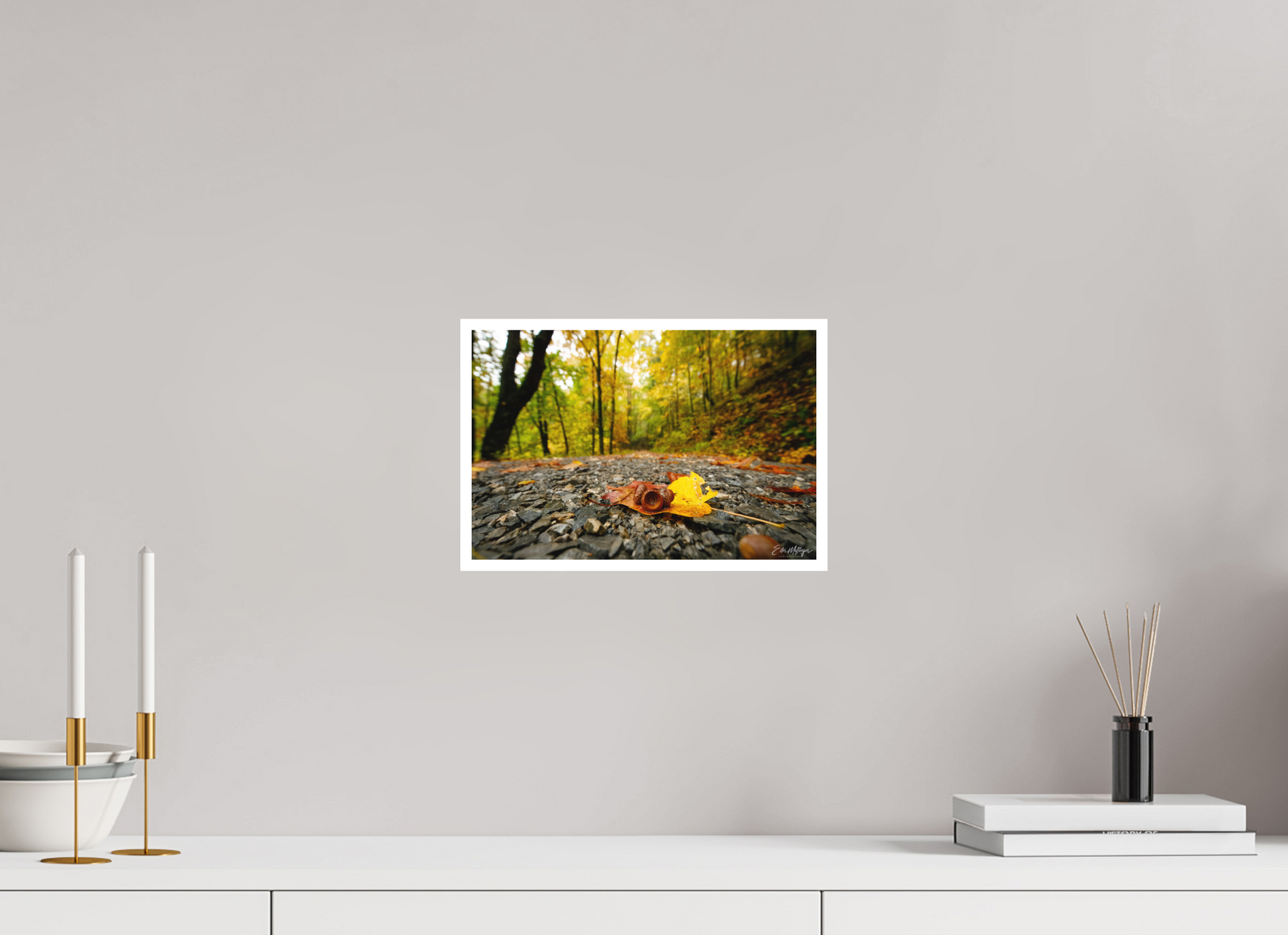 12 x 8″, Fine art print "The Long Way Home" - Cades Cove