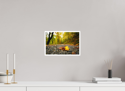 12 x 8″, Fine art print "The Long Way Home" - Cades Cove