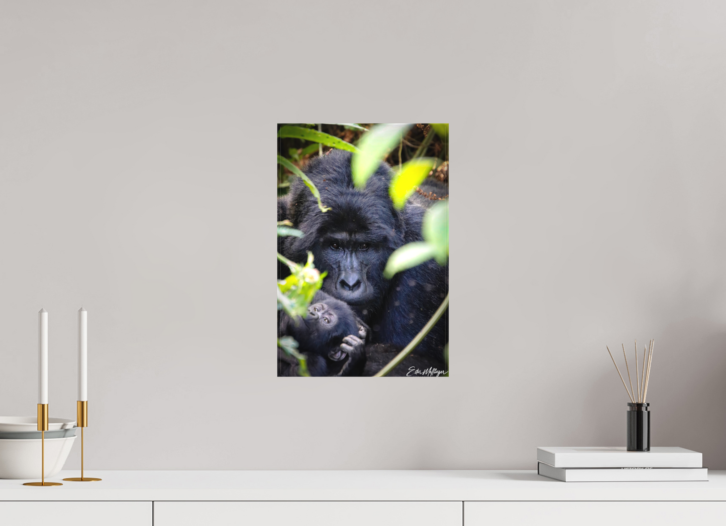10 x 15″, Canvas "The Watchful One' - Silverback and his young