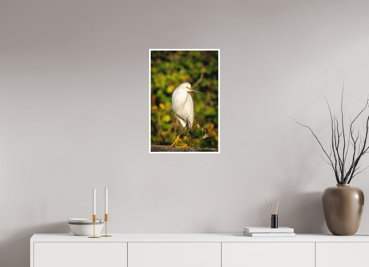 16 x 24″, Fine art print "Golden Light, White Silence" - Great Egret