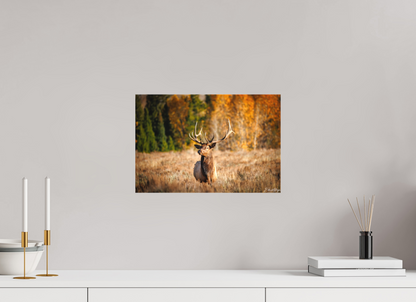 15 x 10″, Canvas "Autumn Sentinel" - Bull Elk
