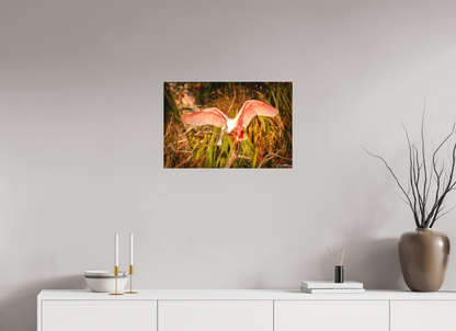 24 x 16″, Canvas "Golden Builder" - Roseate Spoonbill
