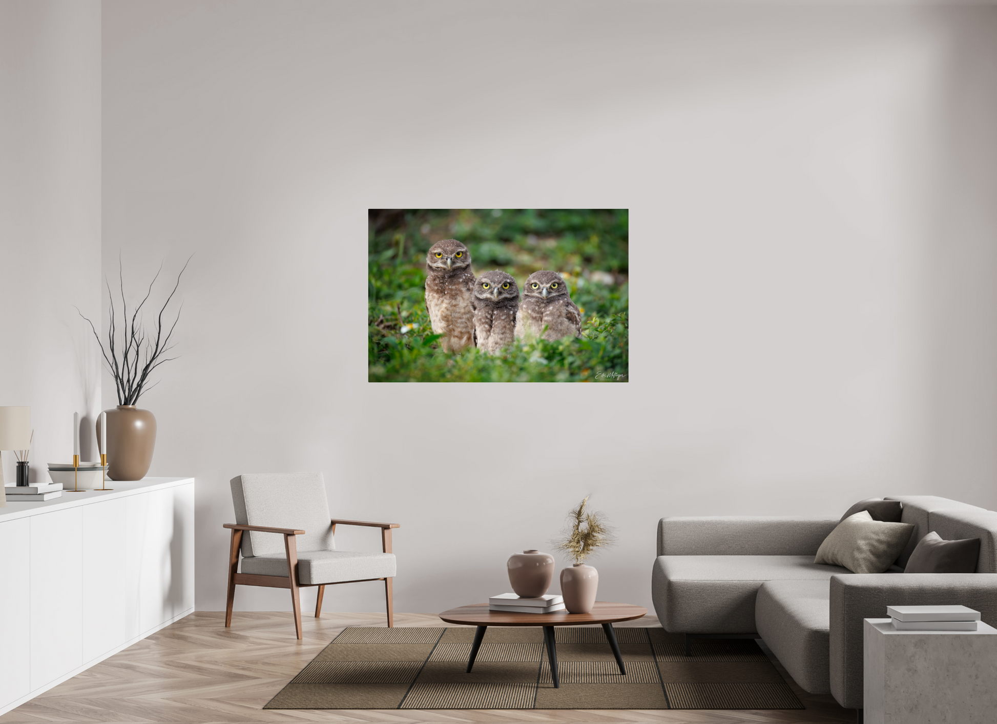 54 x 36″, Acrylic Three Little Burrowing Owls - Burrowing Owls