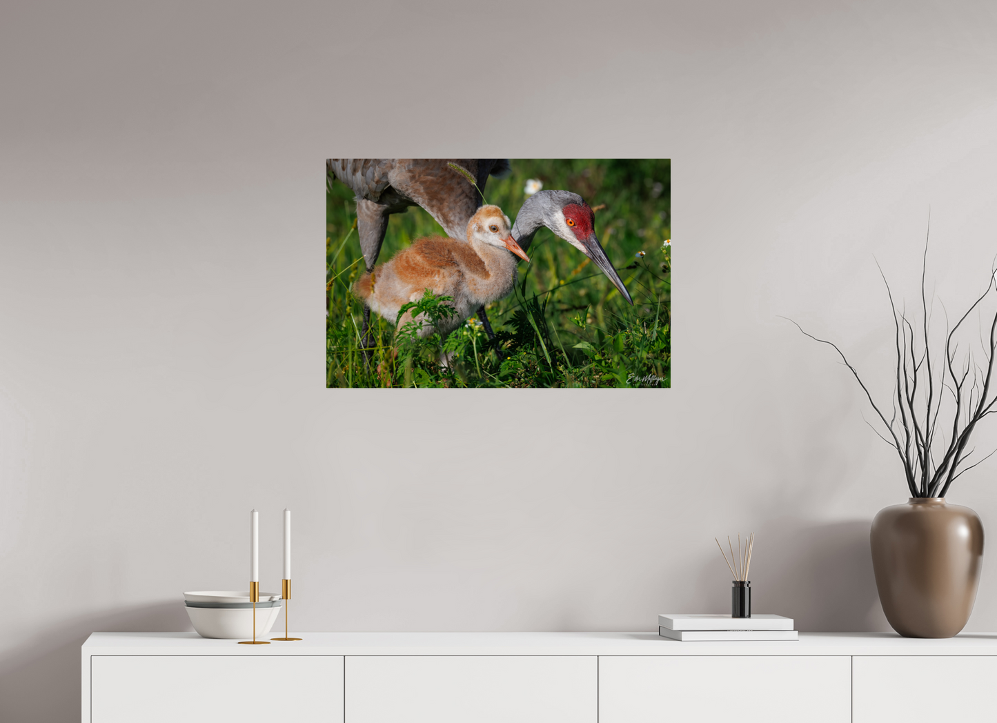 30 x 20″, Metal "Guiding the Next Generation" - Sandhill Cranes