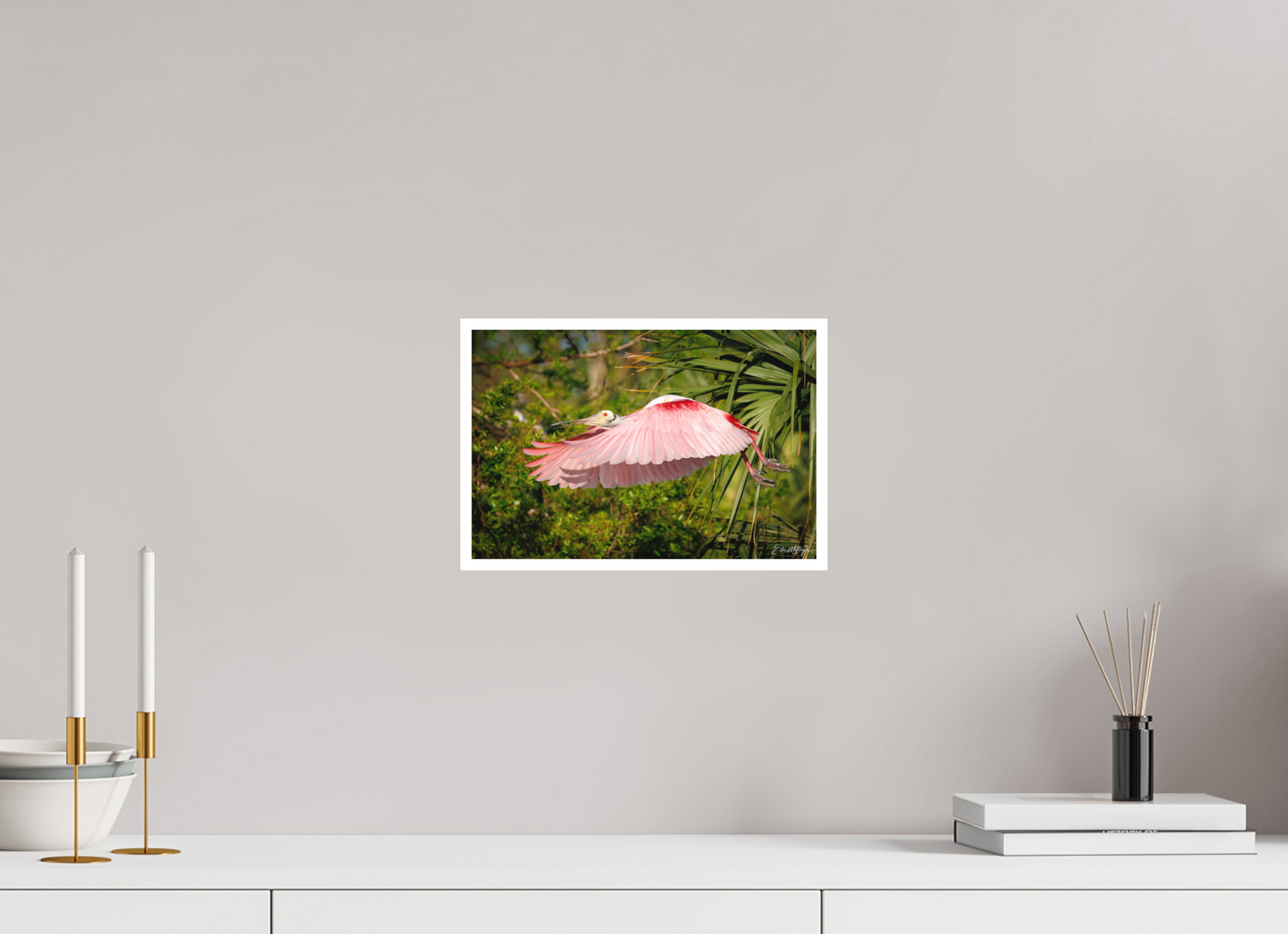 12 x 8″, Fine art print "Pink Passage" - Roseate Spoonbill