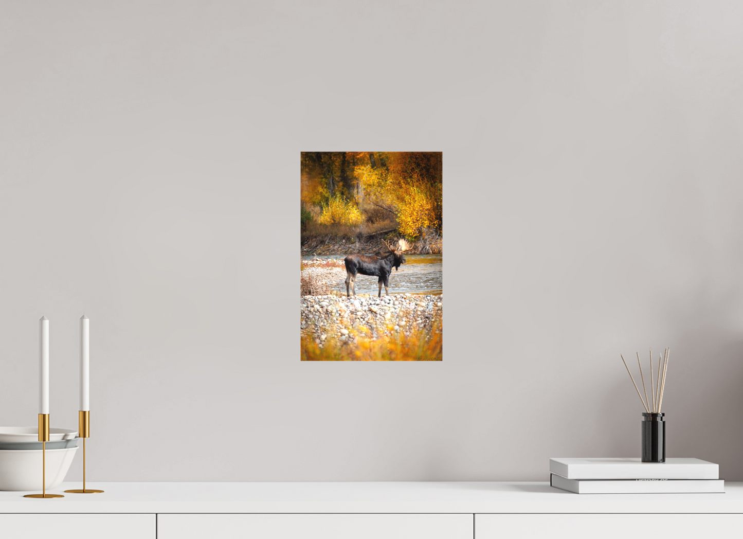 8 x 12″, Canvas "King of the Colors" - Bull Elk, Gros Ventre River