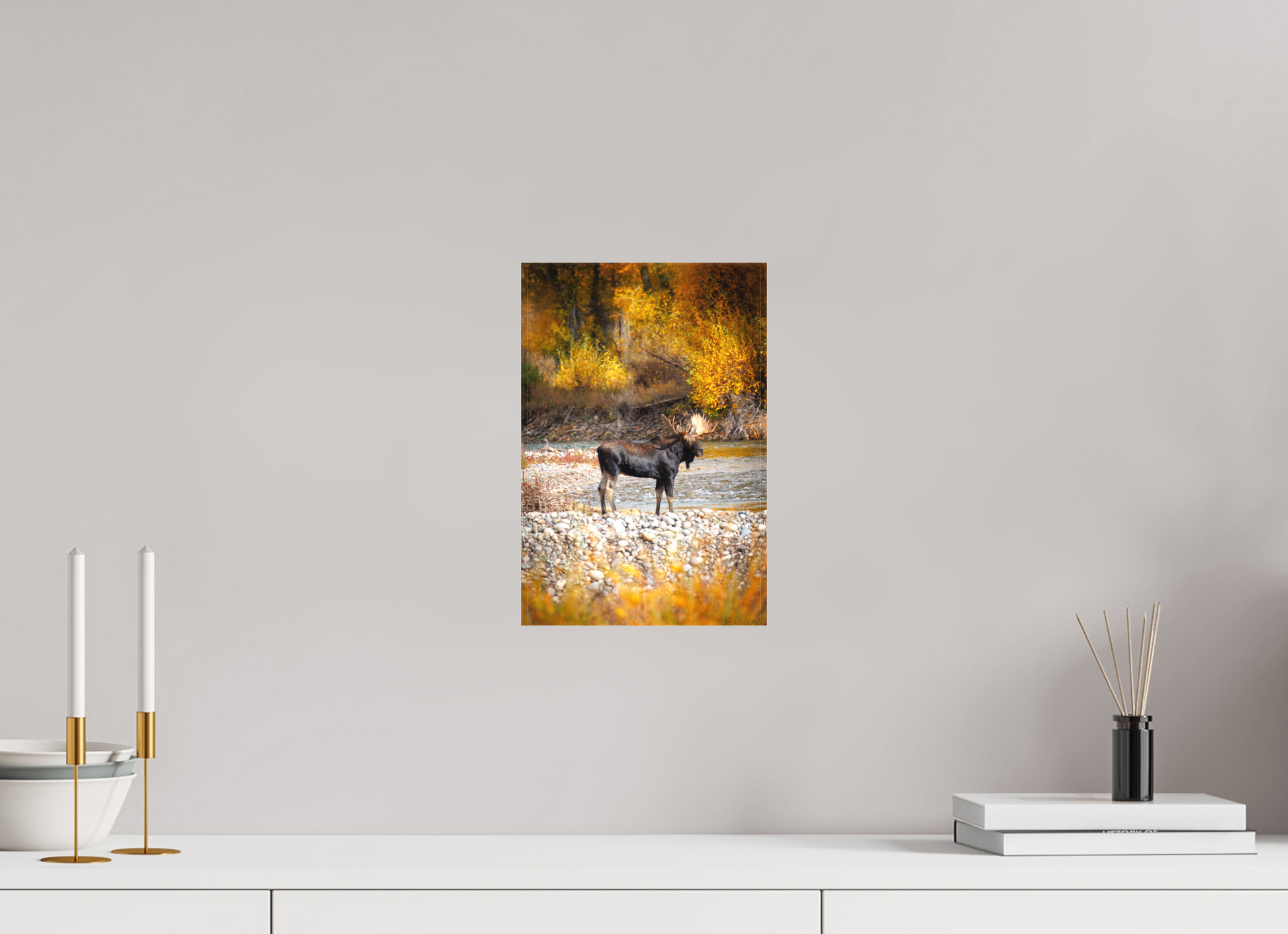 8 x 12″, Canvas "King of the Colors" - Bull Elk, Gros Ventre River