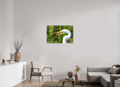 36 x 24″, Canvas "Marsh Hunter" - Great Egret