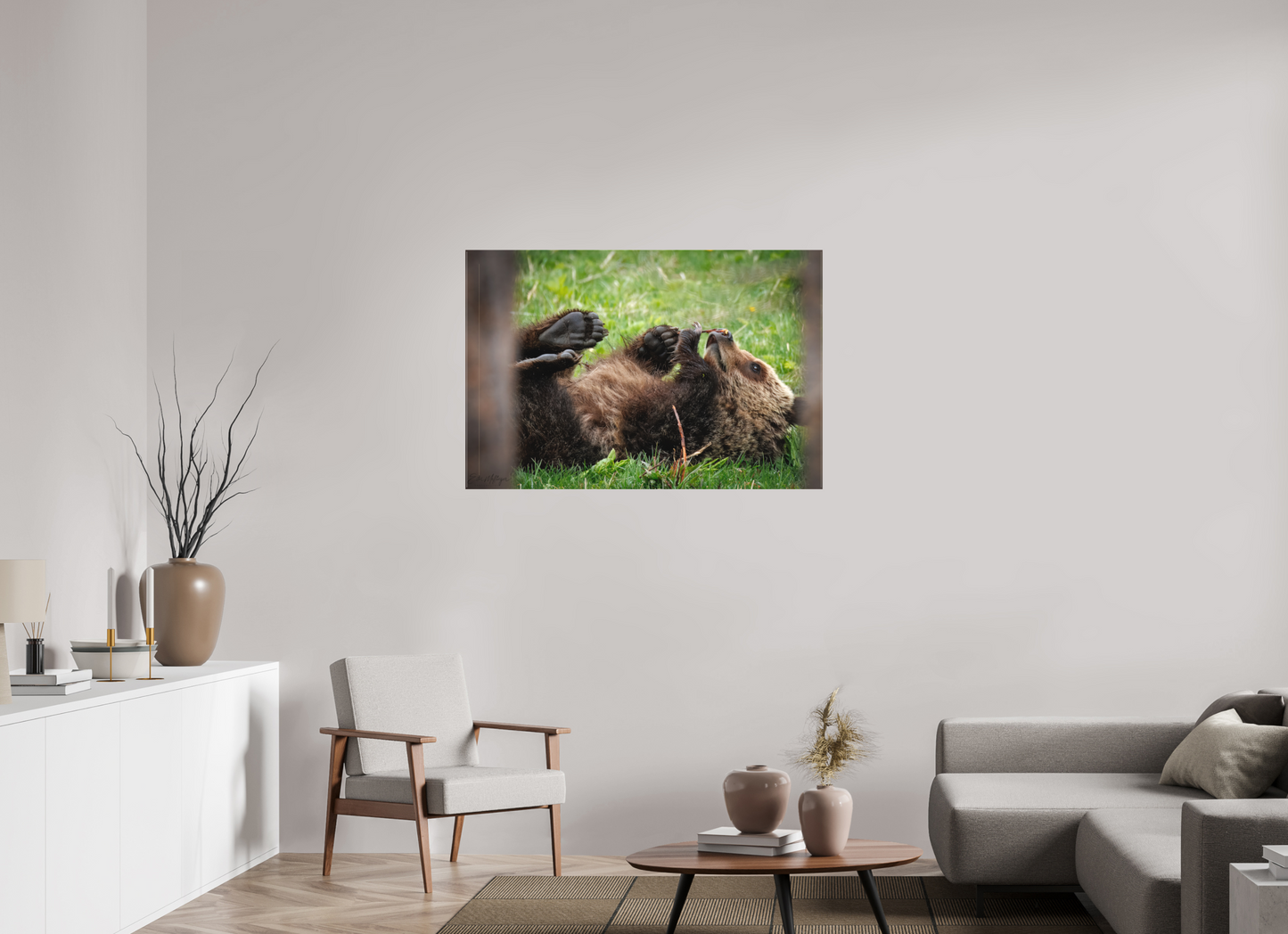 45 x 30″, Canvas "Gentle Discovery" - Grizzly Bear