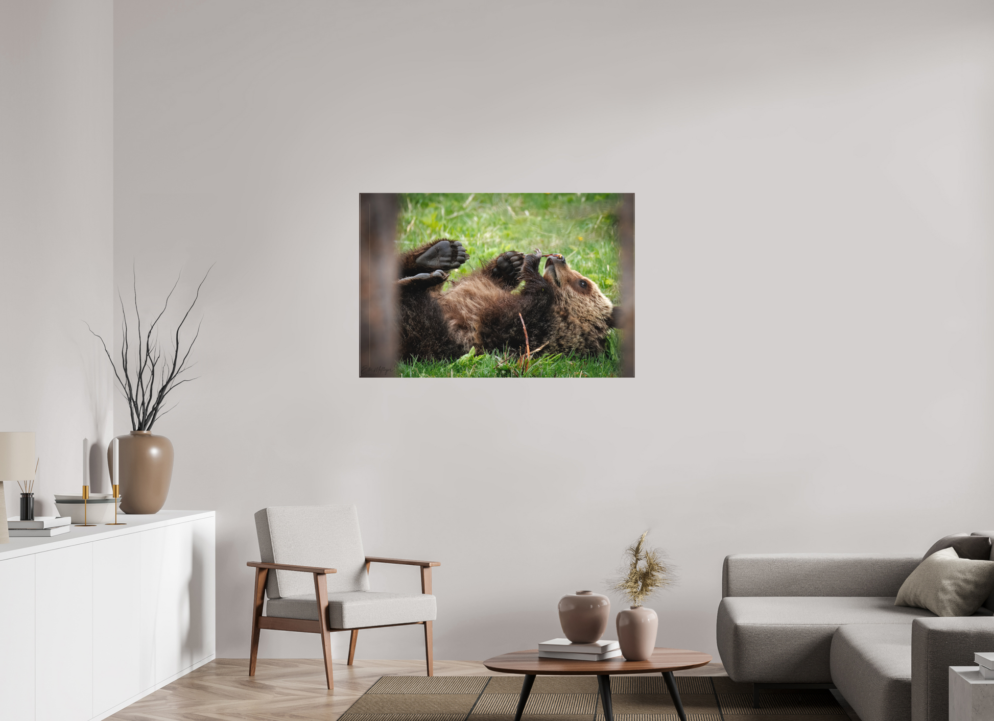45 x 30″, Canvas "Gentle Discovery" - Grizzly Bear