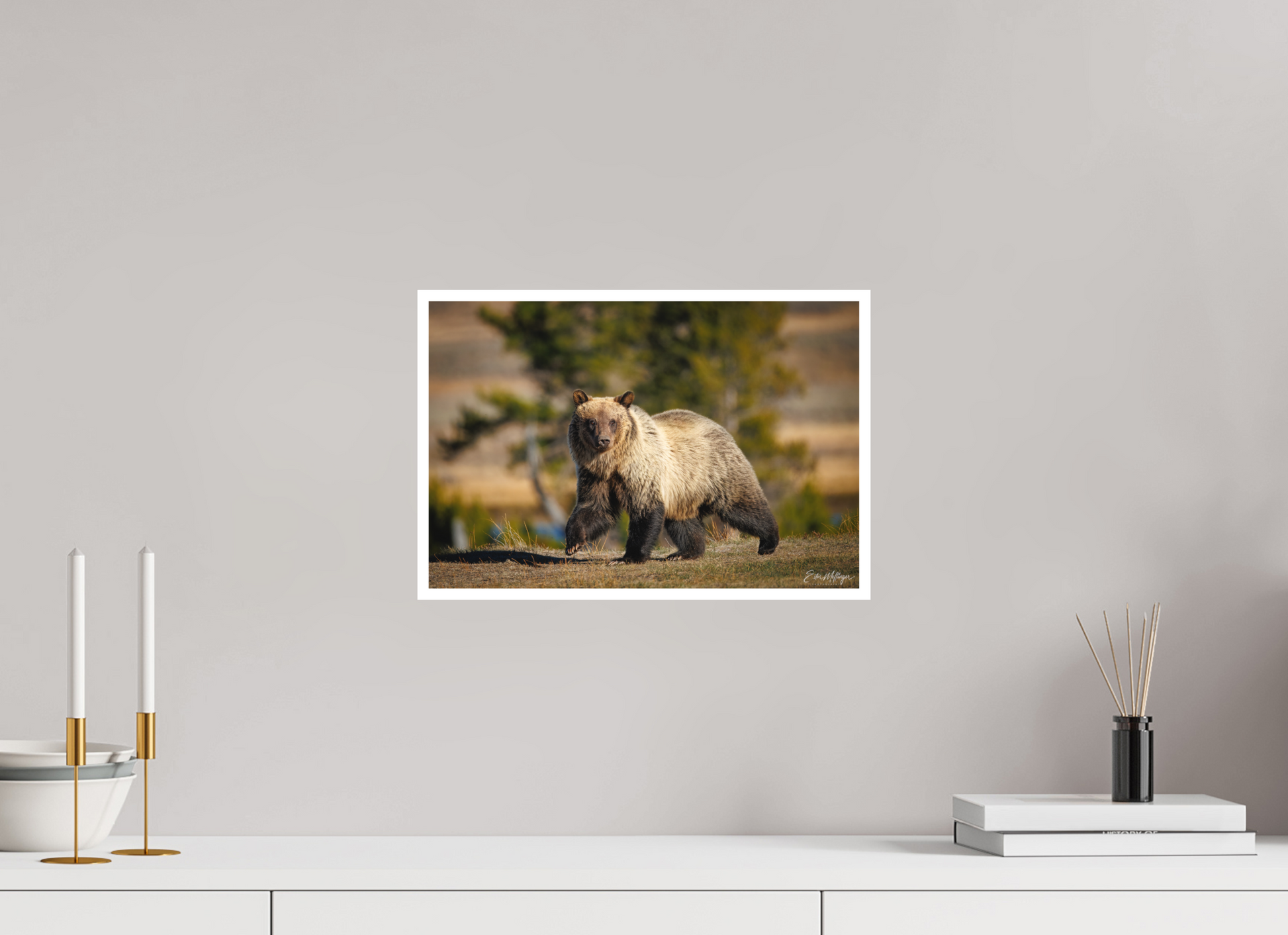 15 x 10″, Fine art print "River Run" - Grizzly Bear
