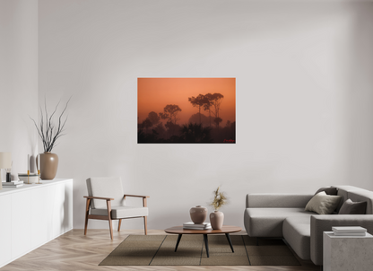 54 x 36″, Canvas "First Light" - Big Cypress Sunrise